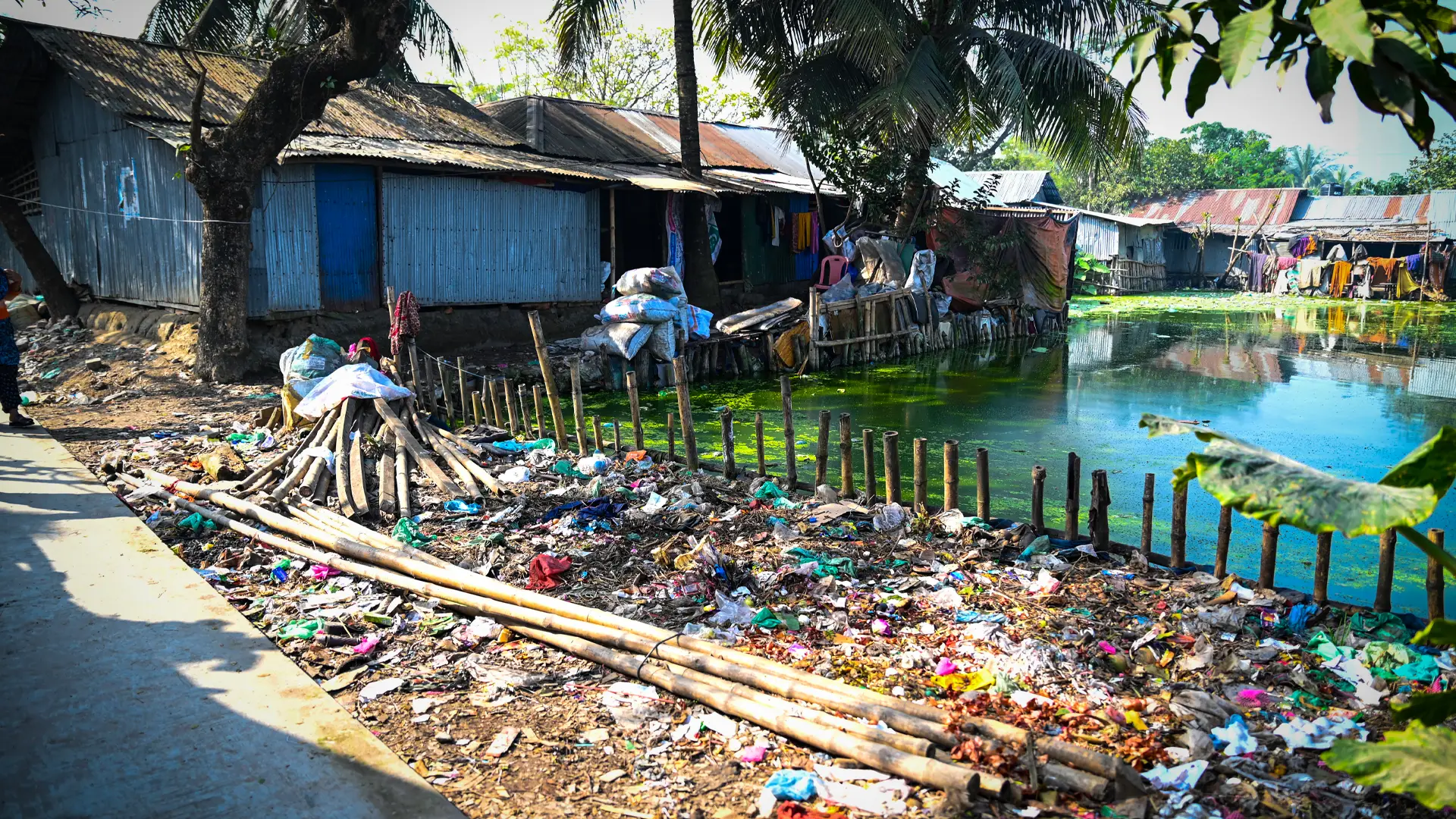 A shanty town with a large pool of dirty water and lots of litter